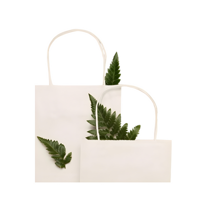 White Paper Bag